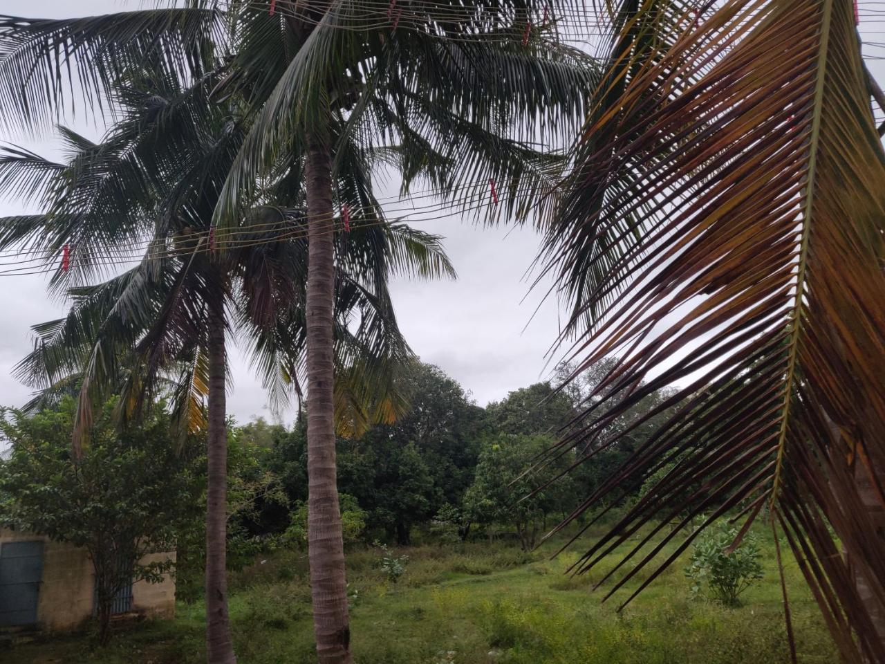 ホテル Srb Residency Tiruvannāmalai エクステリア 写真